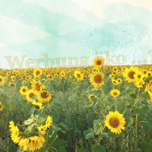 Wiese mit Sonnenblumen, darüber der Spruch "Kann Werbung Öko?"