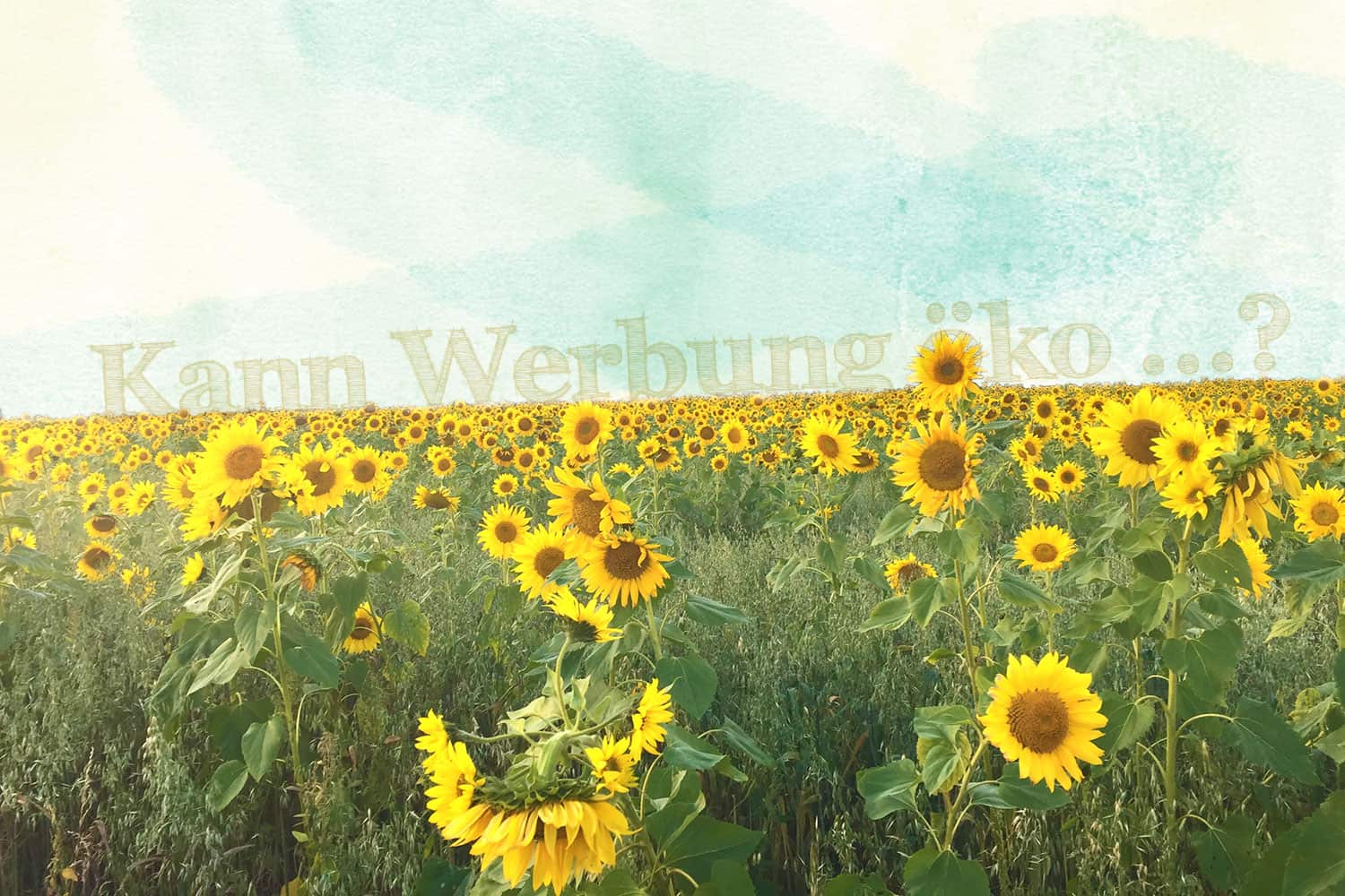 Wiese mit Sonnenblumen, darüber der Spruch "Kann Werbung Öko?"